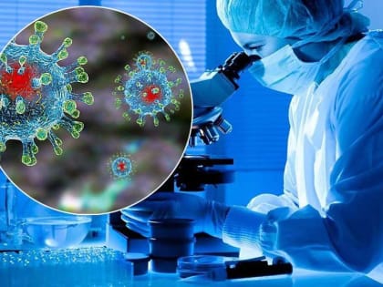 Россиянам предрекли тридемию