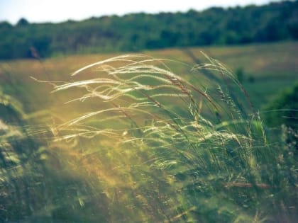 Конец рабочей недели в Морозовске будет ветреным и облачным