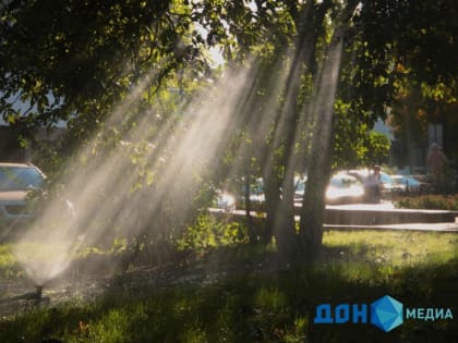 Жаркие выходные: врач рассказал, чего нельзя делать при солнечных ожогах