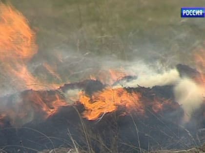 В Песчанокопском районе предприятие оштрафовали за выжигание сухой растительности