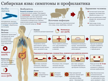 ВНИМАНИЕ! Сибирская язва на территории Воронежской области!