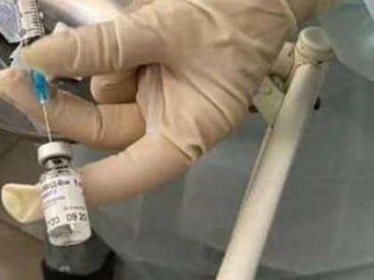 Массовая вакцинация против от брюшного тифа, дизентерии, холеры, гепатита А и лептоспироза проходит в Сочи