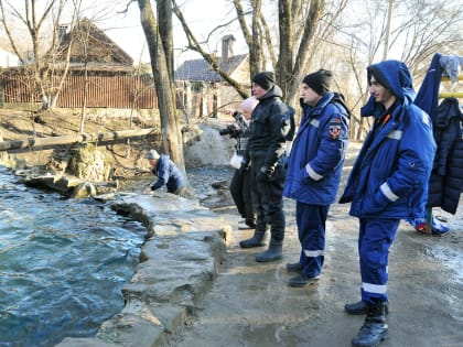 В Крещенскую ночь на Дону будет до 4 градусов мороза