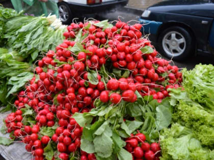 В Шахтах проходит неделя популяризации потребления овощей и фруктов