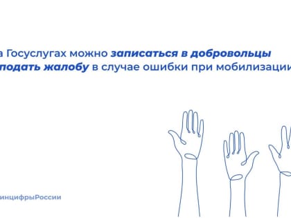 На портале госуслуг жители Дона могут подать заявление на добровольное участие в СВО