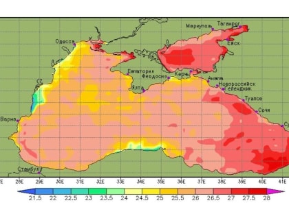Температура воды на ЧПК и в Таганрогском заливе достигла опасных отметок