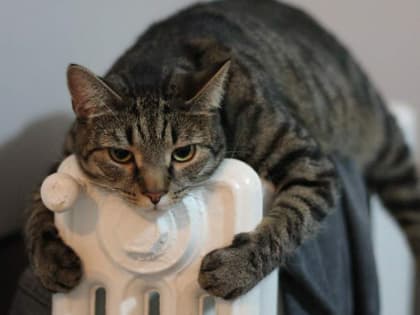 Отопительный сезон в Ростове продлён до 20 апреля