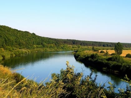 В Ростовской области более 100 млрд рублей направят на оздоровление реки Дон