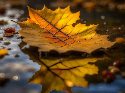 Меньше кофе, больше движения: врач рассказала как справиться с осенней сонливостью и упадком сил
