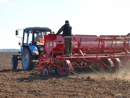 Сегодня – День работника сельского хозяйства