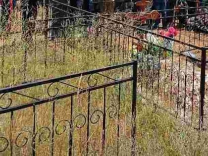 В Ростовской области 10 млн рублей потратят на ограждения сибиреязвенных скотомогильников