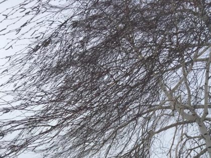 Составлен предварительный прогноз погоды на сентябрь