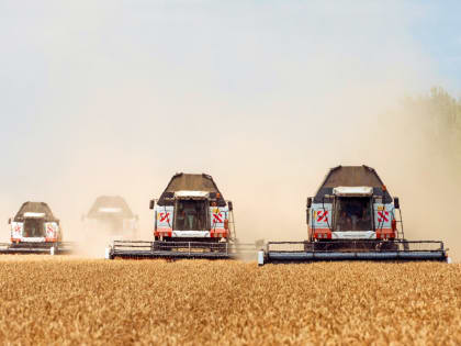 В Ростовской области наладили поставки зерна в Мексику и Индонезию