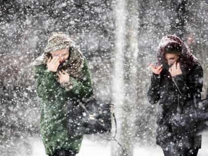 Жителей Ростовской области в начале недели ожидает метель и -17 градусов