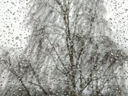 Ждать ли еще потепления? Прогноз погоды от начальника Ростовского гидрометцентра