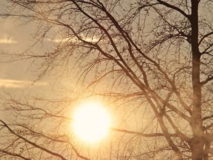 Росгидрометцентр сообщил об аномально теплой погоде в Ростовской области