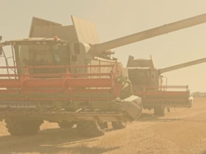 В Морозовском районе набирает темп хлебоуборочная кампания