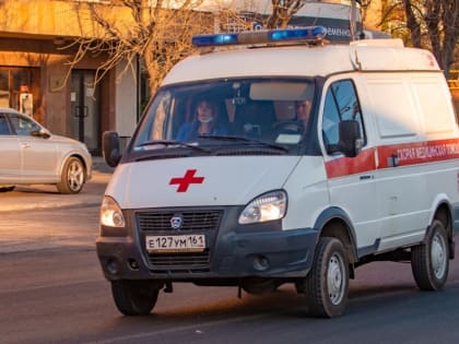 В Ростовской области 14-летняя девочка погибла в ДТП с грузовиком