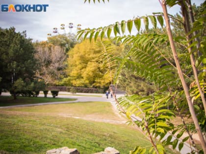 До +20 градусов прогреется воздух в Волгодонске