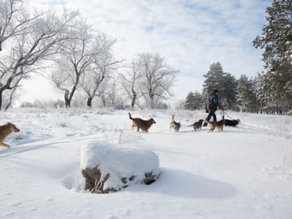 О морозах до -20 градусов предупредили жителей Ростовской области