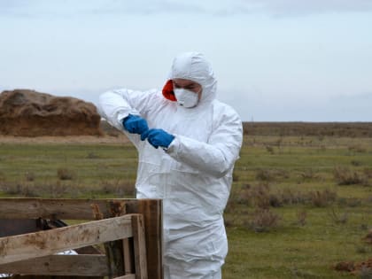 Профилактические мероприятия — защита от сибирской язвы