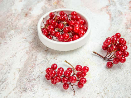 Зимой обязательно: диетолог рассказал о полезных свойствах клюквы