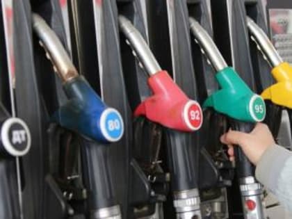 В ФАС проверят обоснованность роста цен на бензин и дизтопливо в Ростовской области