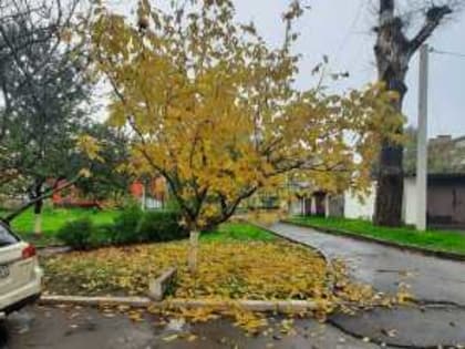 Новая рабочая неделя принесет в Шахты похолодание и дожди