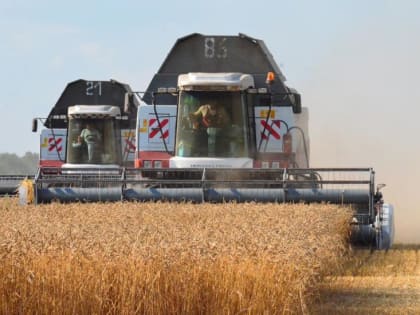 ХЛЕБОРОБЫ ДОНА СОБРАЛИ УРОЖАЙ С ЧЕТВЕРТИ УБОРОЧНЫХ ПЛОЩАДЕЙ