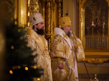 Ростовский митрополит назвал армию флот и РПЦ главными союзниками России