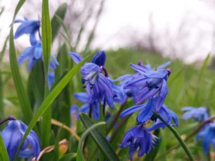 Теплое и дождливое начало недели обещают шахтинцам