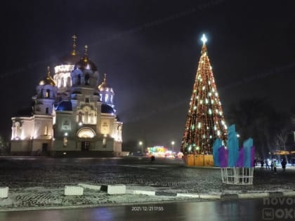 Новогоднюю ель в Новочеркасске установят на соборной площади до 10 декабря