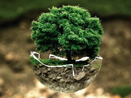 В Ростовской области за 10 млрд рублей ликвидируют экологический ущерб