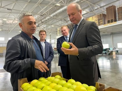 Ростовская область: новые меры поддержки местного бизнеса