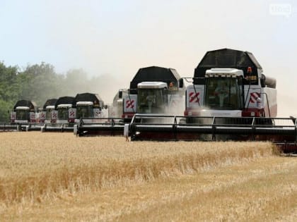 Губернатор Ростовской области потребовал повысить зарплату аграриям