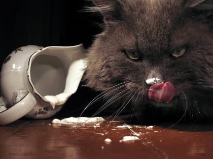 Благодаря санкциям мы всё больше узнаём, чем нас на самом деле кормят