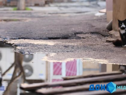 В пятницу в Ростове потеплеет до + 5 градусов