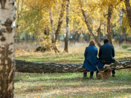 Что есть ростовчанам, чтобы избежать осенней хандры