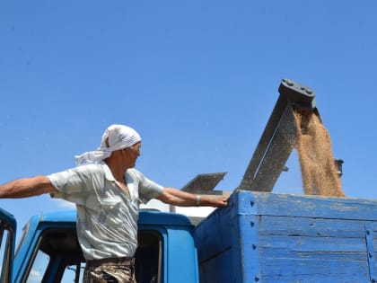Исторический рекорд превзойдён: собрано более 350 тысяч тонн ранних зерновых!