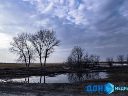 Дождливое воскресенье ожидается в Ростове