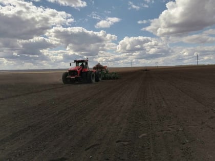 На территории Боковского района завершился сев озимых культур