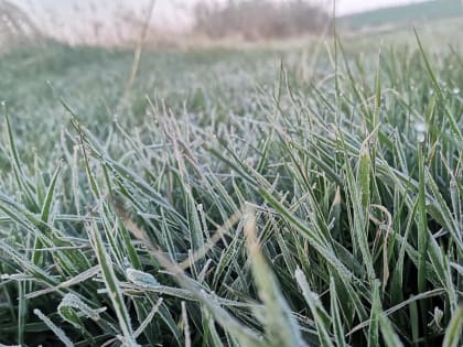 На пасхальные выходные в Ростовской области прогнозируют заморозки