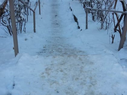 Начало недели будет травмоопасным в Ростове