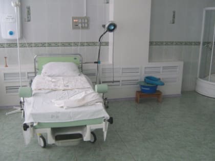 В Каменске приостановили работу роддома
