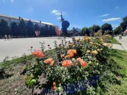 Последние дни августа в Шахтах будут ясными и без осадков