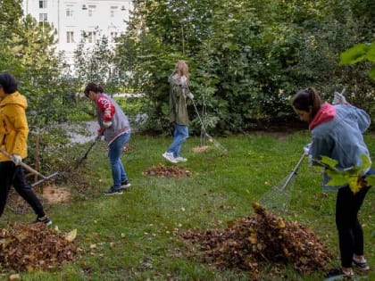 На улицах Таганрога прошел субботник