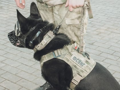 В Азове в медицинском центре нашли сумку с подозрительными телефонами в фольге