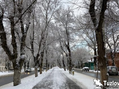 В Новочеркасске морозы ослабнут к Старому Новому году