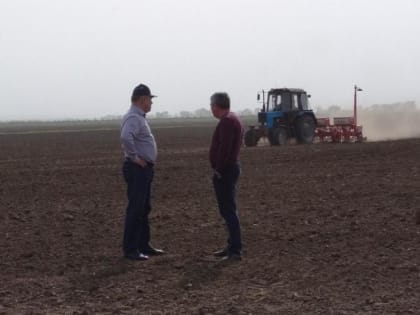 Аграрии Дона подходят к экватору весенней посевной