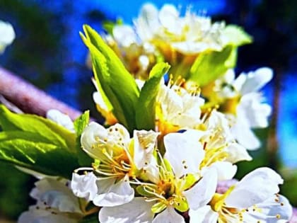 Ростовчан ждут теплая суббота и прохладное воскресенье